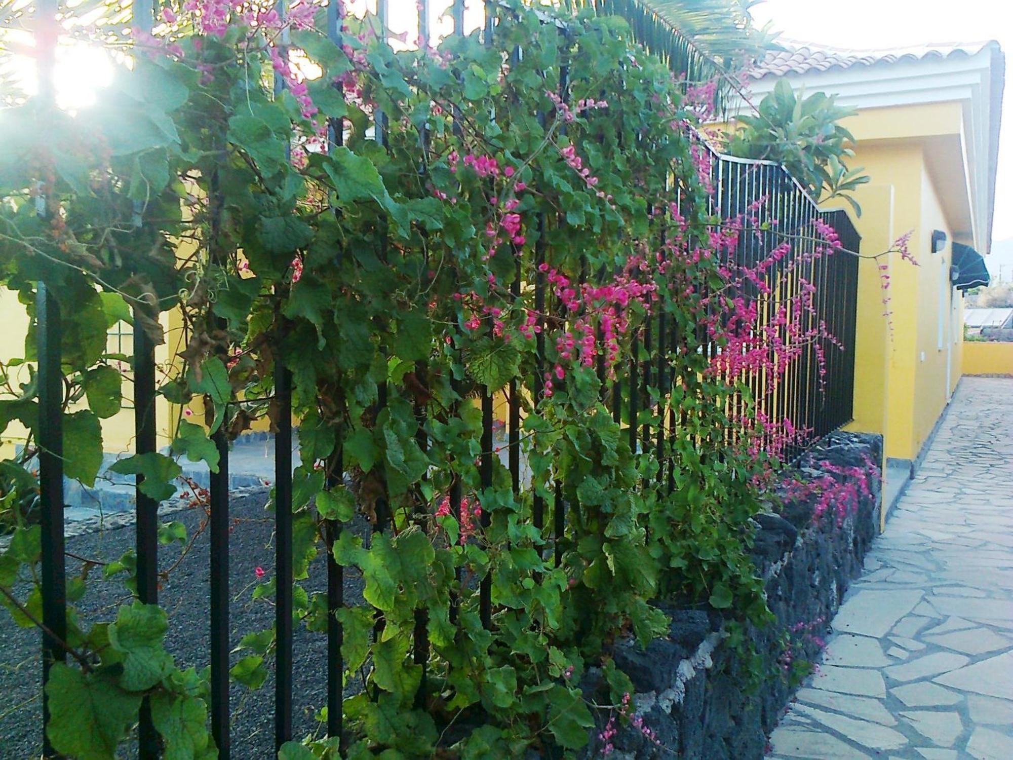 Vv Complejo Vacacional Villamaria Los Llanos De Aridane Bagian luar foto