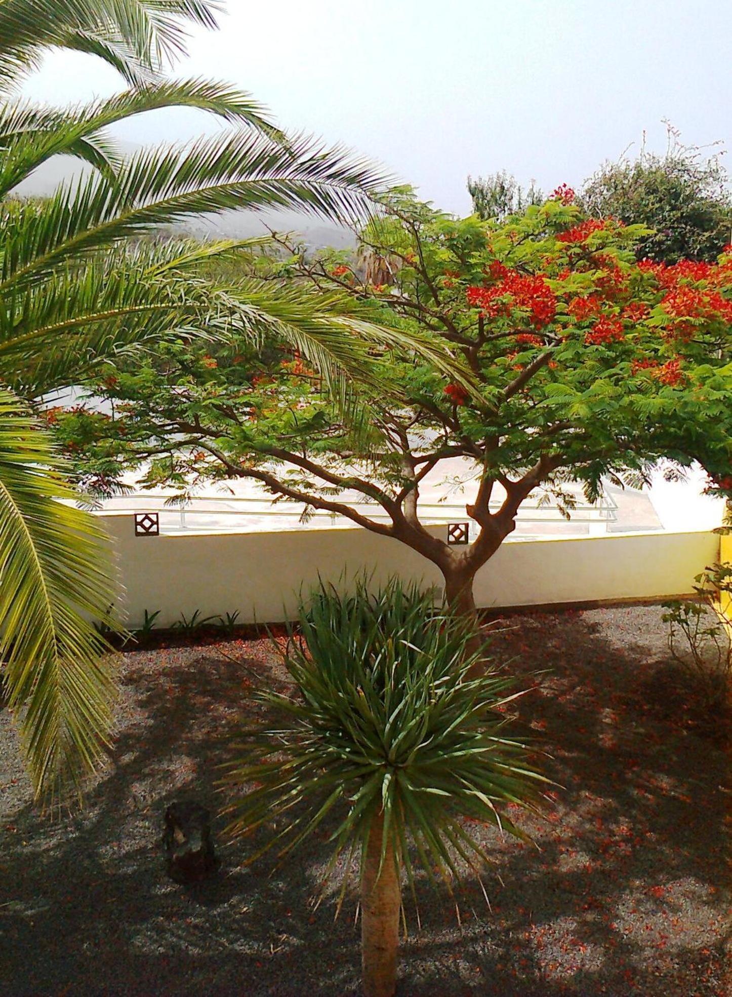 Vv Complejo Vacacional Villamaria Los Llanos De Aridane Bagian luar foto