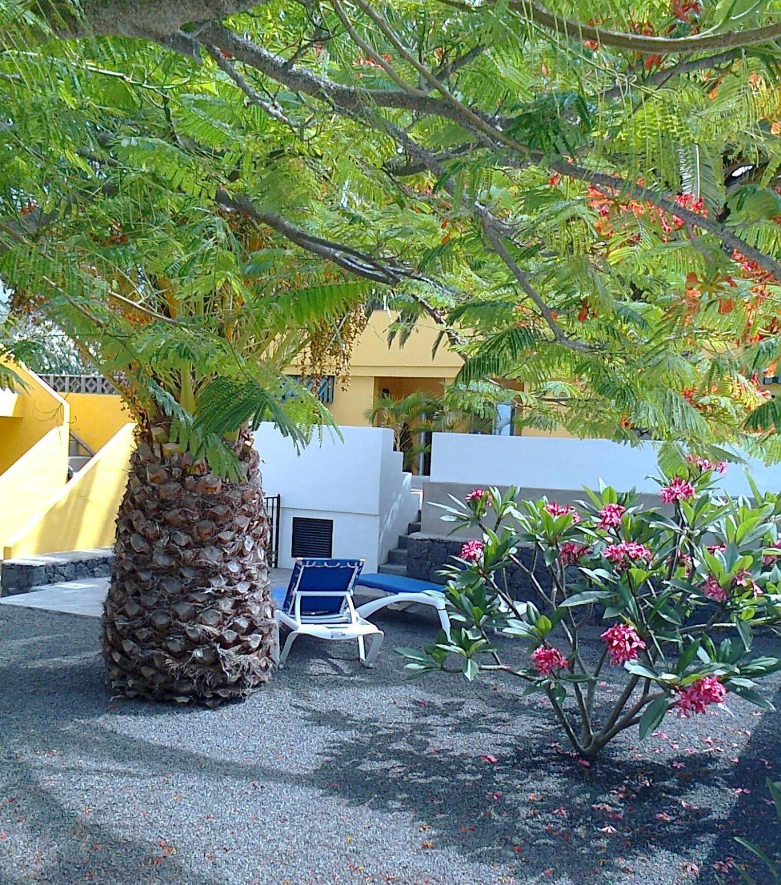 Vv Complejo Vacacional Villamaria Los Llanos De Aridane Bagian luar foto