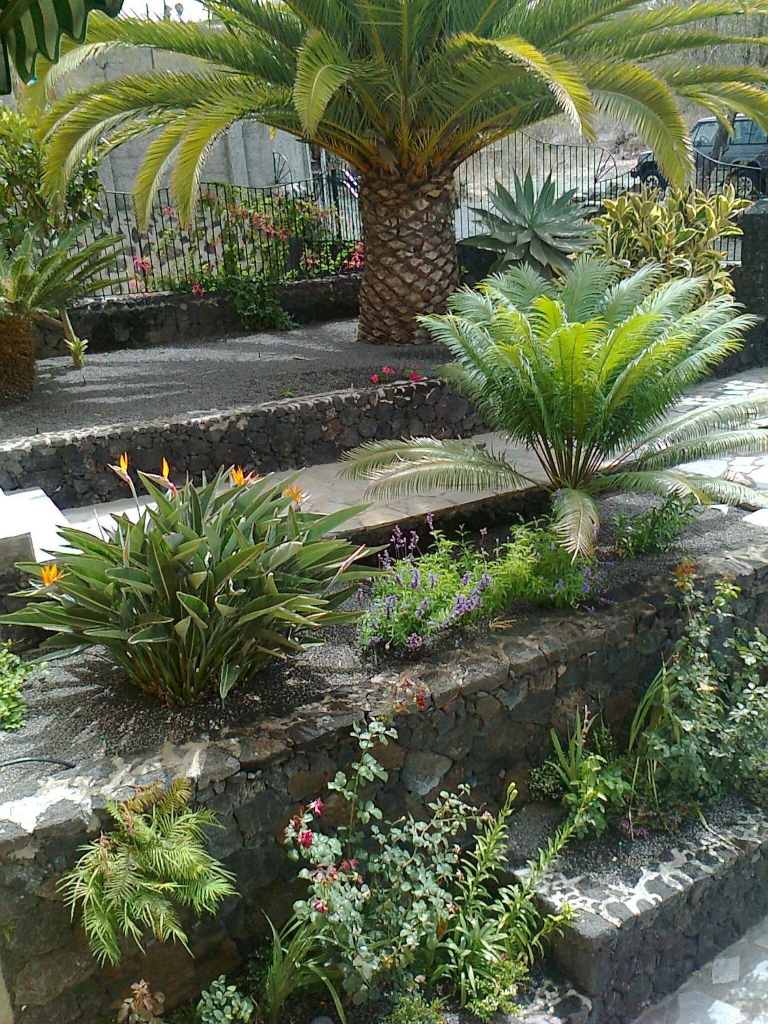 Vv Complejo Vacacional Villamaria Los Llanos De Aridane Bagian luar foto